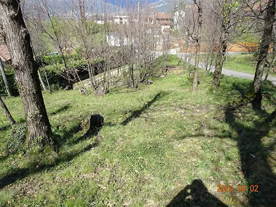 Immagine 10 di Terreno edificabile in vendita  a Ello