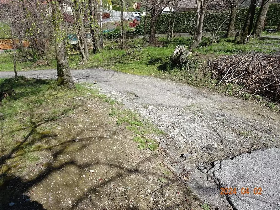 Immagine 5 di Terreno edificabile in vendita  a Ello