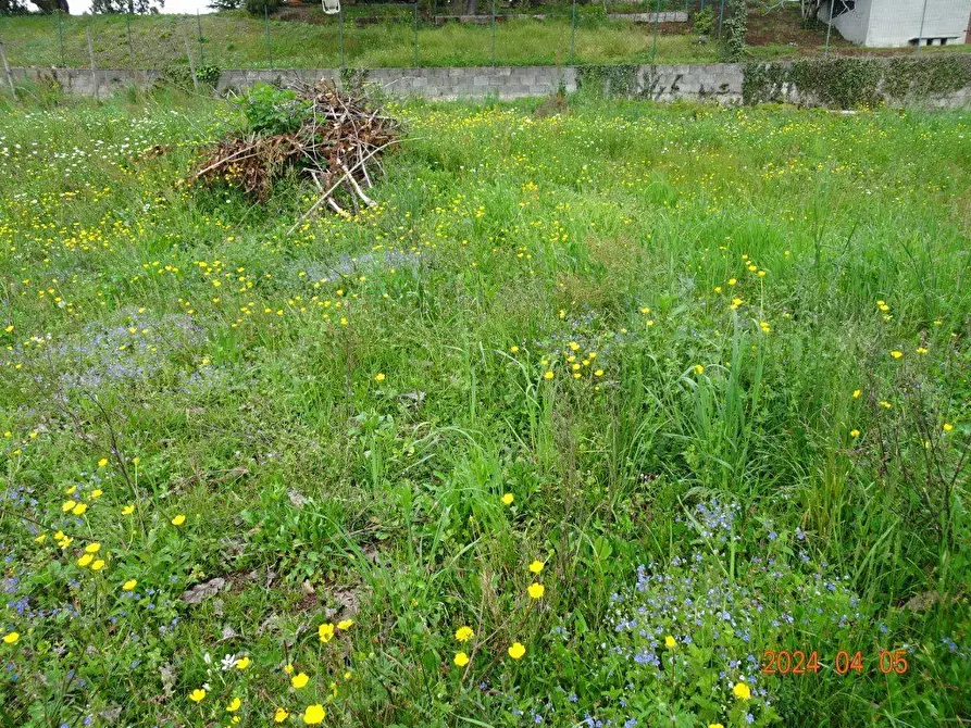 Immagine 10 di Terreno edificabile in vendita  a Oggiono