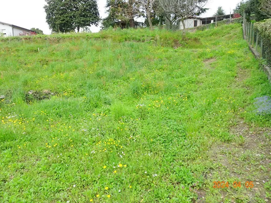 Immagine 3 di Terreno edificabile in vendita  a Oggiono