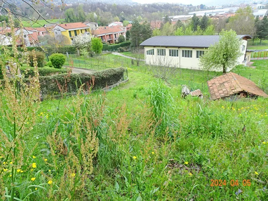 Immagine 4 di Terreno edificabile in vendita  a Oggiono