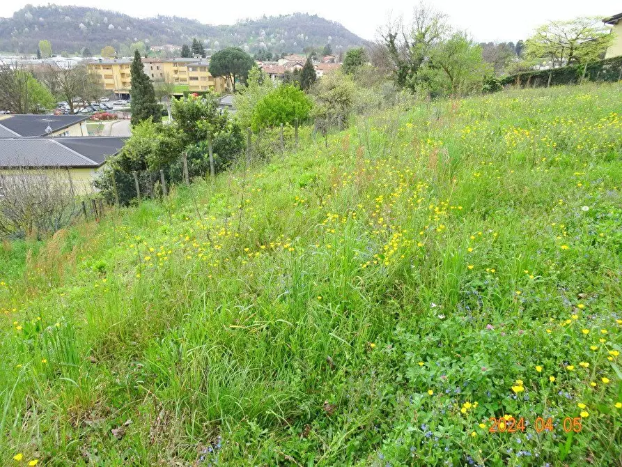 Immagine 9 di Terreno edificabile in vendita  a Oggiono