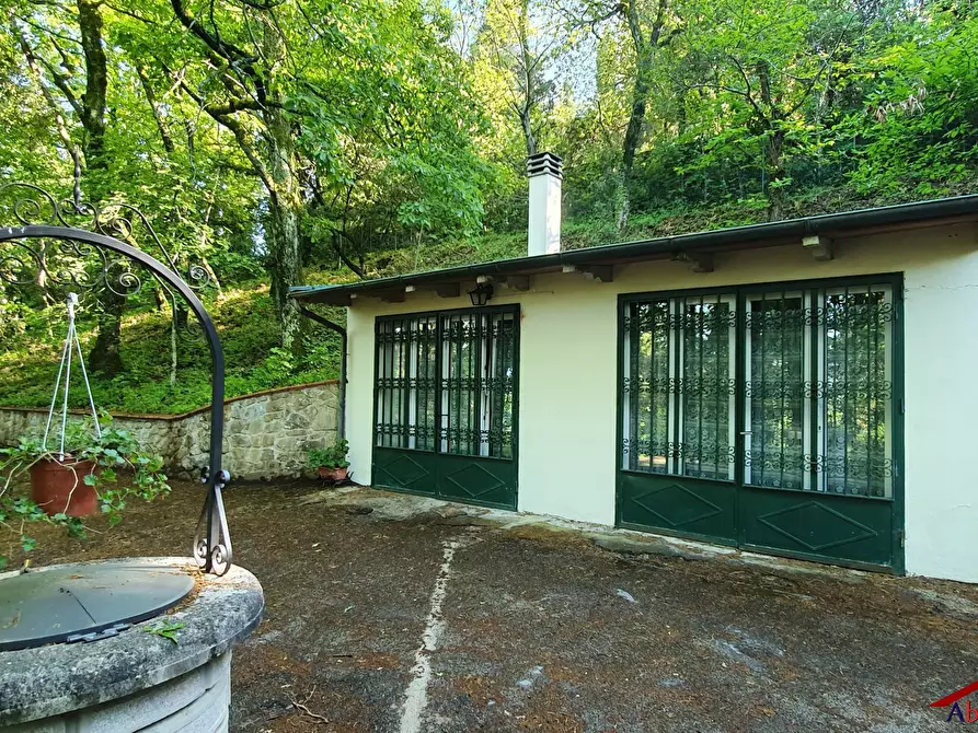 Immagine 4 di Villa in affitto  37 a Arezzo
