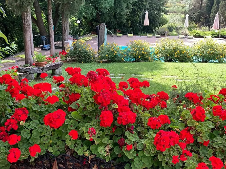 Immagine 7 di Villa in vendita  37 a Arezzo