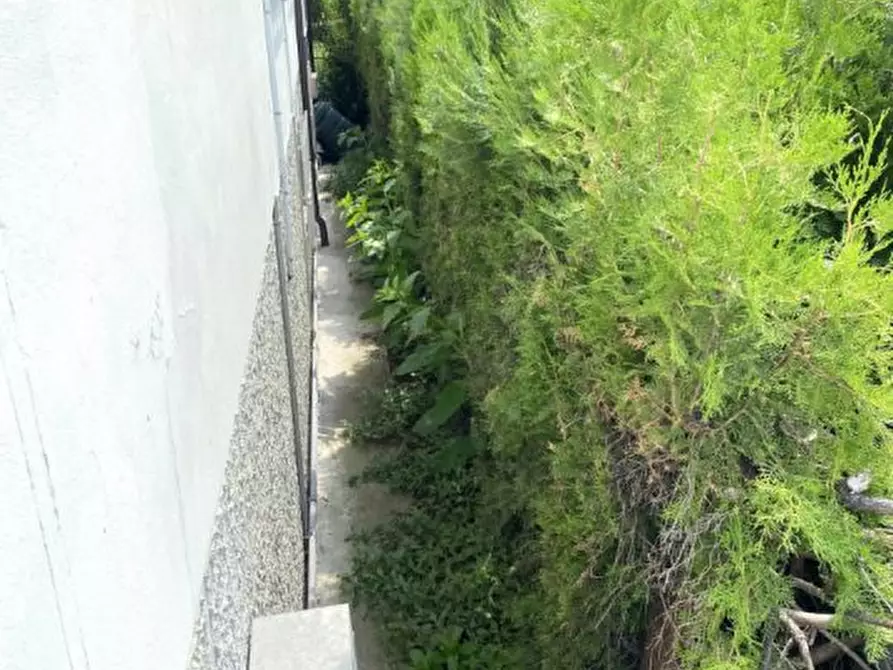 Immagine 9 di Negozio in vendita  a Lugo Di Vicenza