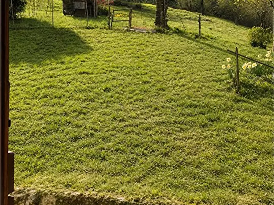 Immagine 3 di Rustico / casale in vendita  a Posina