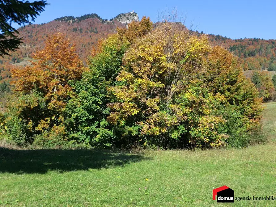 Immagine 3 di Terreno edificabile in vendita  a Tonezza Del Cimone