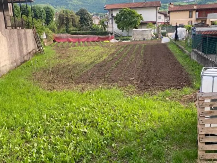 Immagine 2 di Terreno edificabile in vendita  a Arsiero