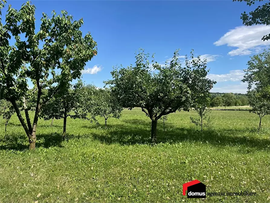 Immagine 4 di Terreno edificabile in vendita  a Zugliano