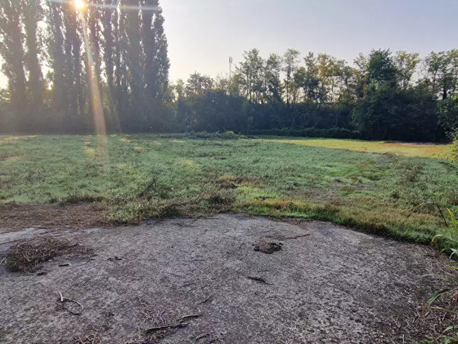 Immagine 3 di Terreno in vendita  a Cassano D'adda