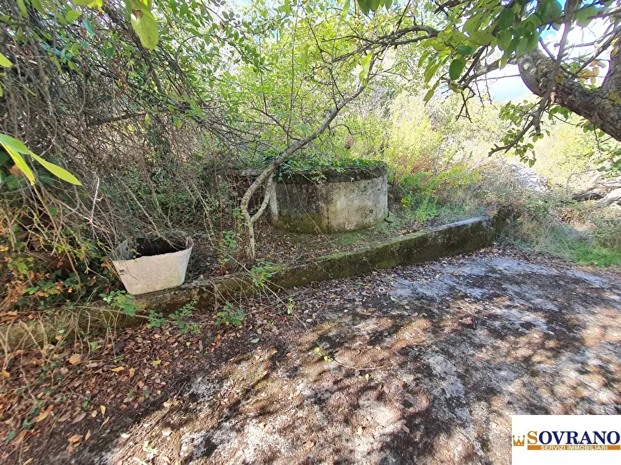 Immagine 10 di Casa indipendente in vendita  a Monreale