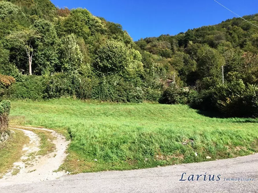 Immagine 1 di Terreno edificabile in vendita  a Valbrona