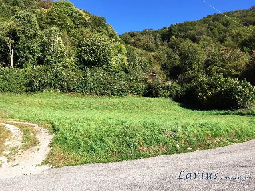 Immagine 2 di Terreno edificabile in vendita  a Valbrona