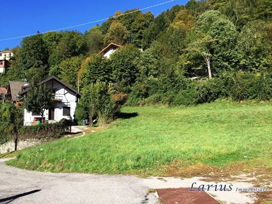 Immagine 4 di Terreno edificabile in vendita  a Valbrona