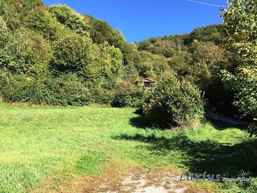 Immagine 7 di Terreno edificabile in vendita  a Valbrona