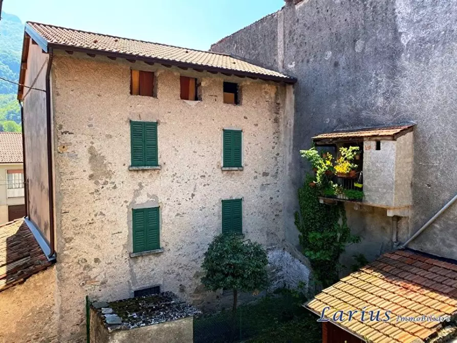 Immagine 5 di Casa indipendente in vendita  1 a Valbrona