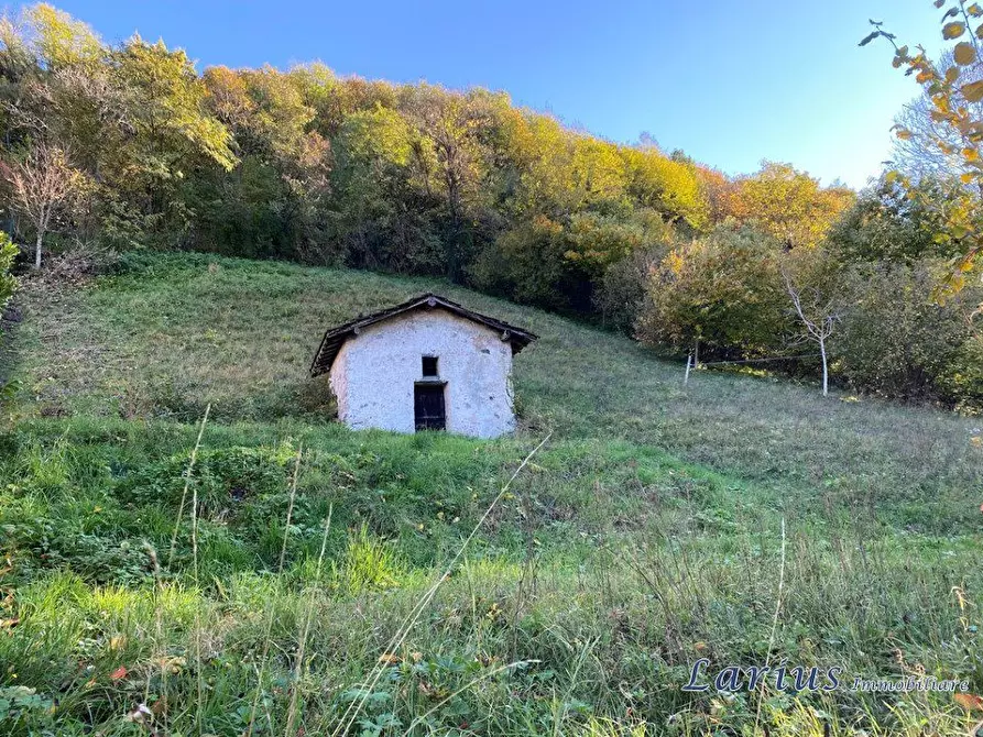 Immagine 8 di Terreno edificabile in vendita  a Canzo