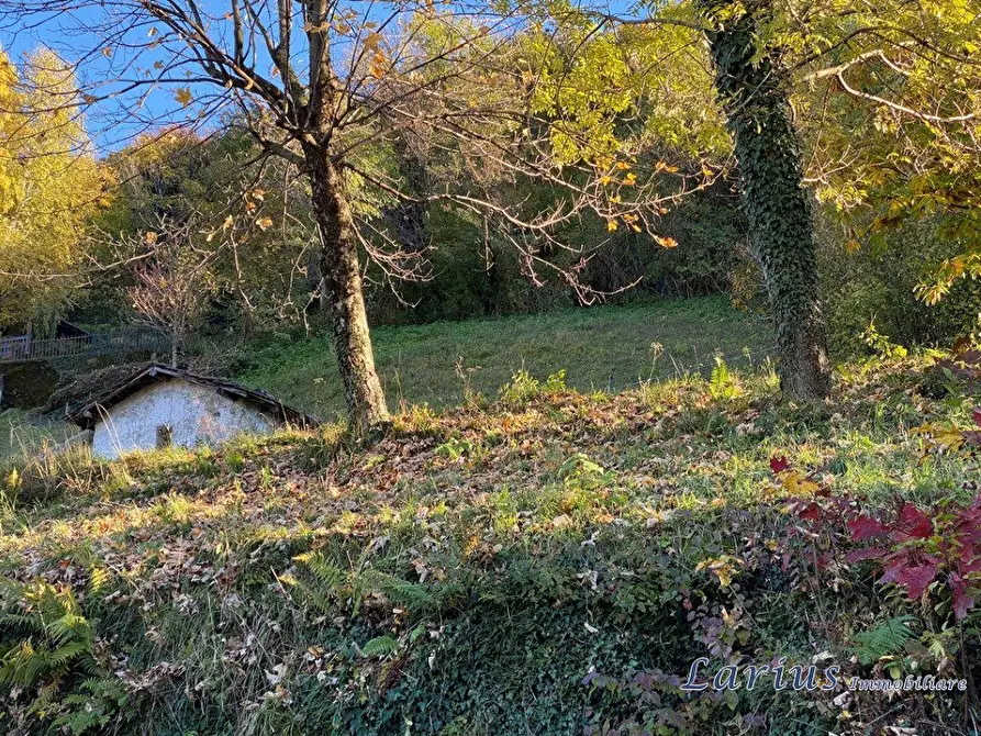 Immagine 9 di Terreno edificabile in vendita  a Canzo