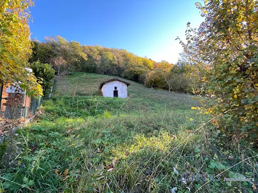 Immagine 6 di Terreno edificabile in vendita  a Canzo