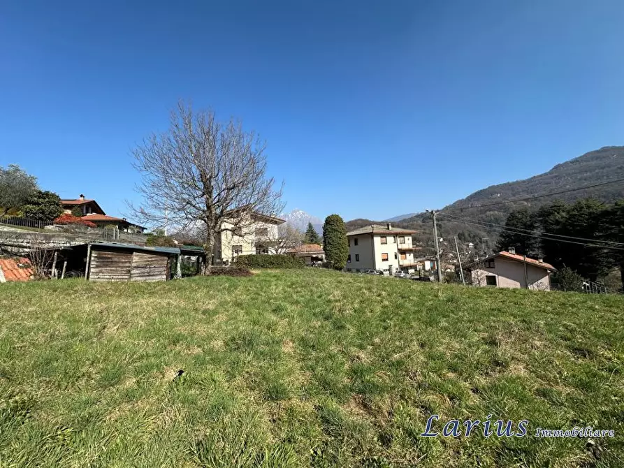 Immagine 5 di Terreno edificabile in vendita  a Valbrona