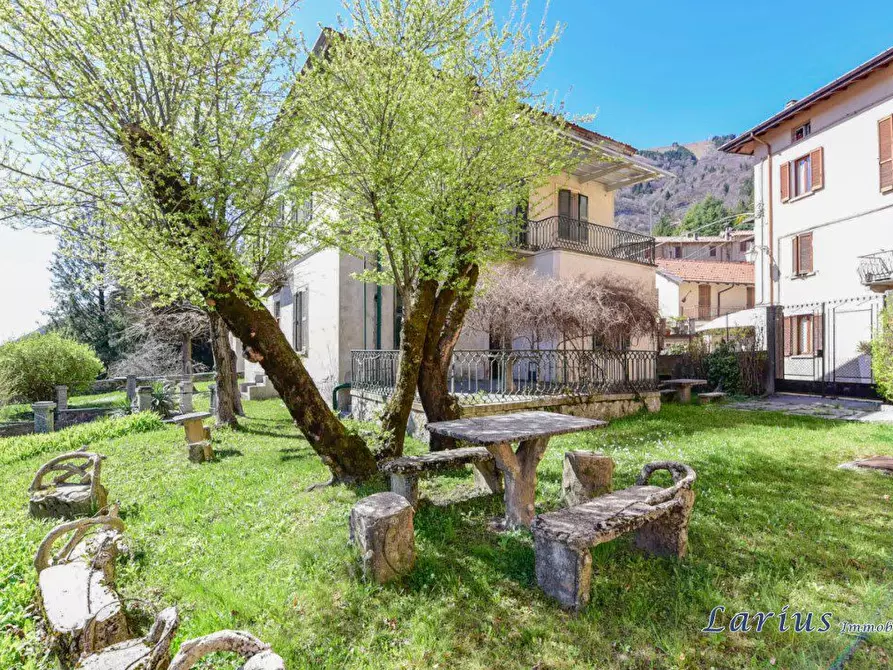 Immagine 4 di Villa in vendita  1 a Magreglio