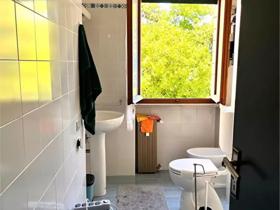 Immagine 10 di Appartamento in affitto  a Pisa