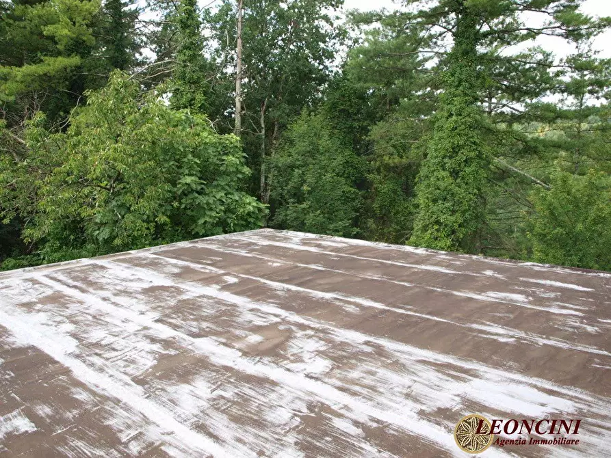 Immagine 9 di Rustico / casale in vendita  a Bagnone