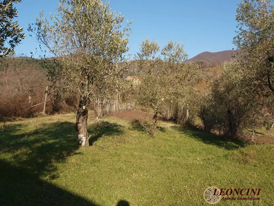 Immagine 8 di Rustico / casale in vendita  2 a Pontremoli