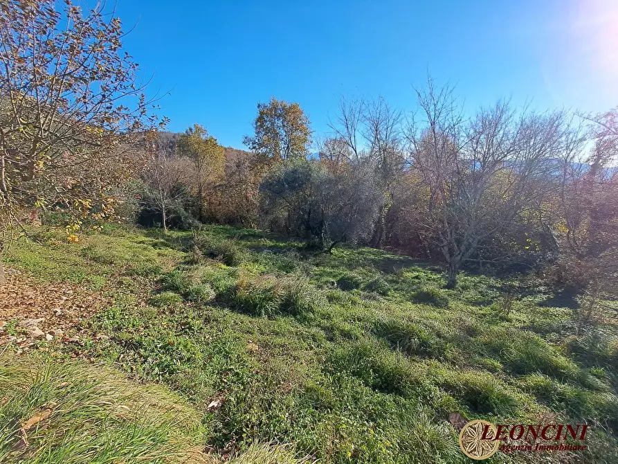 Immagine 5 di Rustico / casale in vendita  12 a Bagnone