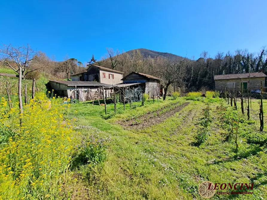 Immagine 4 di Rustico / casale in vendita  100 a Podenzana