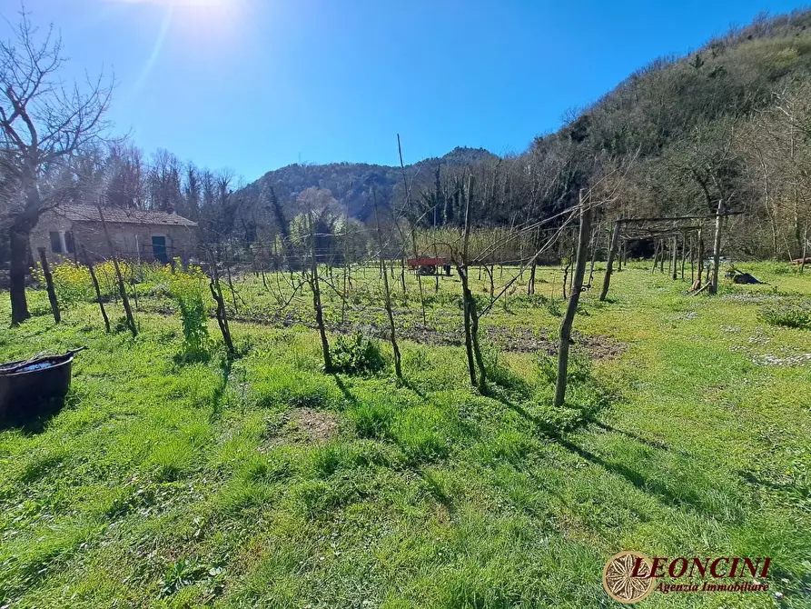 Immagine 3 di Rustico / casale in vendita  100 a Podenzana