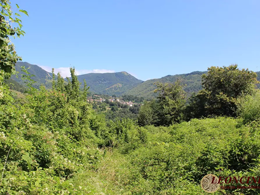 Immagine 9 di Rustico / casale in vendita  22 a Zeri