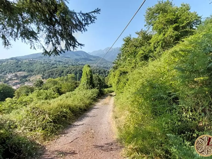 Immagine 9 di Rustico / casale in vendita  22 a Bagnone