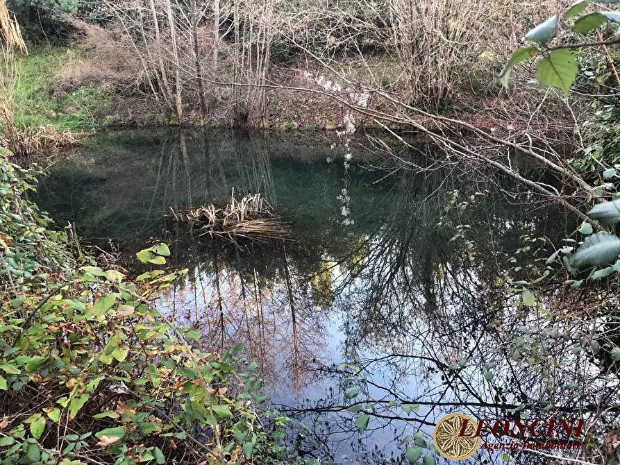 Immagine 8 di Rustico / casale in vendita  22 a Bagnone