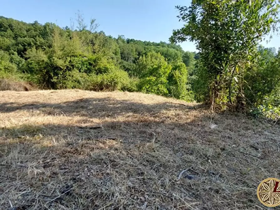 Immagine 10 di Rustico / casale in vendita  22 a Bagnone