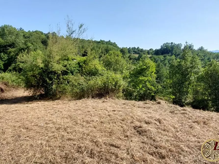 Immagine 3 di Rustico / casale in vendita  22 a Bagnone