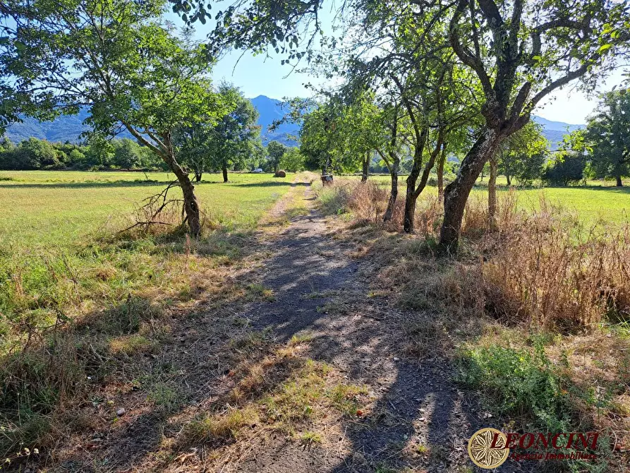 Immagine 3 di Rustico / casale in vendita  88 a Pontremoli