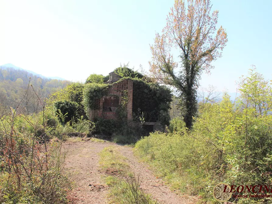 Immagine 10 di Rustico / casale in vendita  22 a Villafranca In Lunigiana