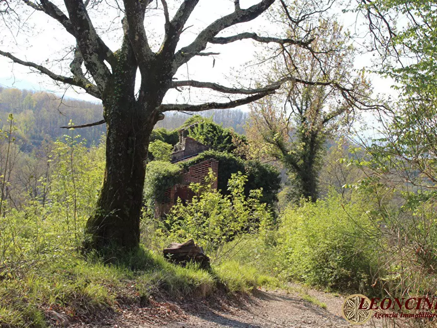 Immagine 2 di Rustico / casale in vendita  22 a Villafranca In Lunigiana