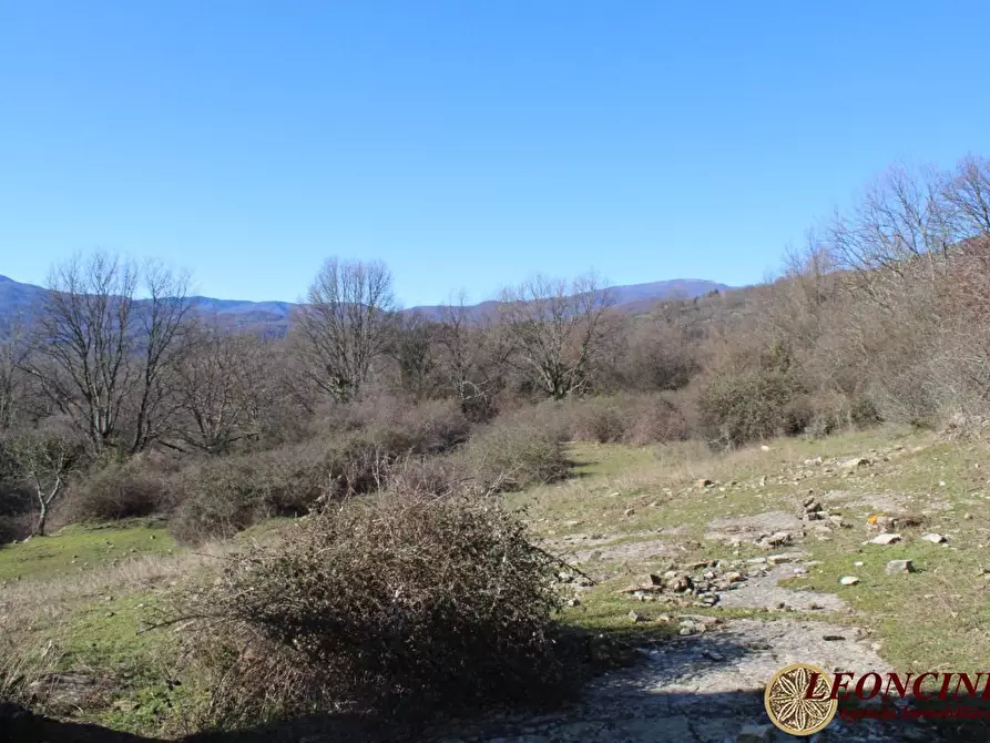 Immagine 9 di Rustico / casale in vendita  23 a Pontremoli