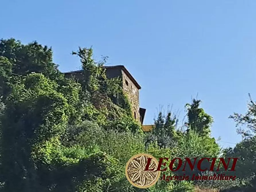 Immagine 3 di Rustico / casale in vendita  22 a Mulazzo