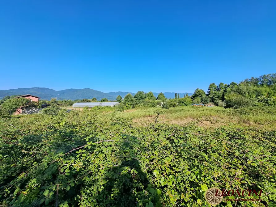 Immagine 4 di Terreno edificabile in vendita  22 a Villafranca In Lunigiana