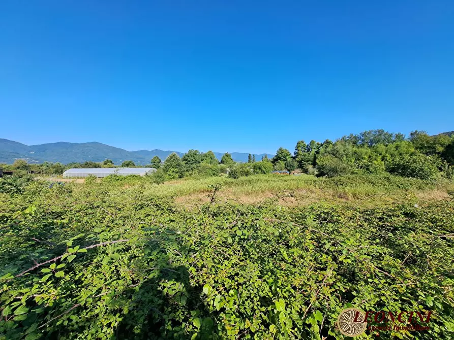 Immagine 7 di Terreno edificabile in vendita  22 a Villafranca In Lunigiana