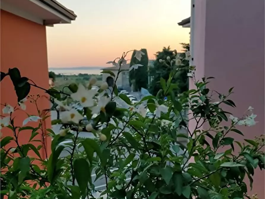 Immagine 9 di Appartamento in affitto  a Bardolino