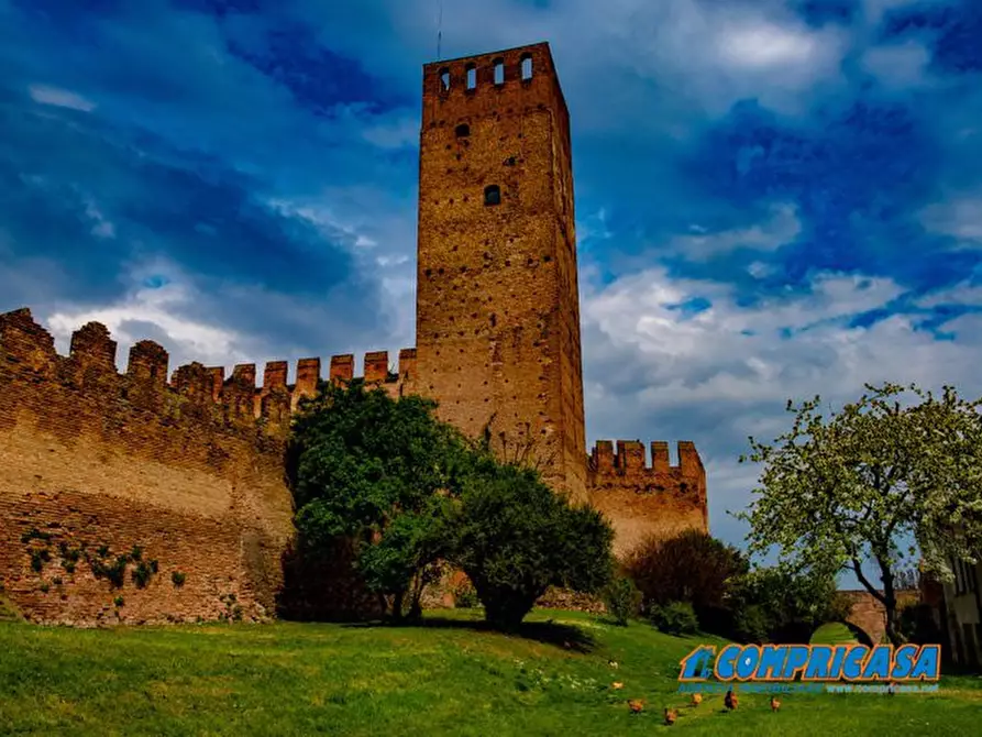 Immagine 1 di Palazzo in vendita  a Montagnana