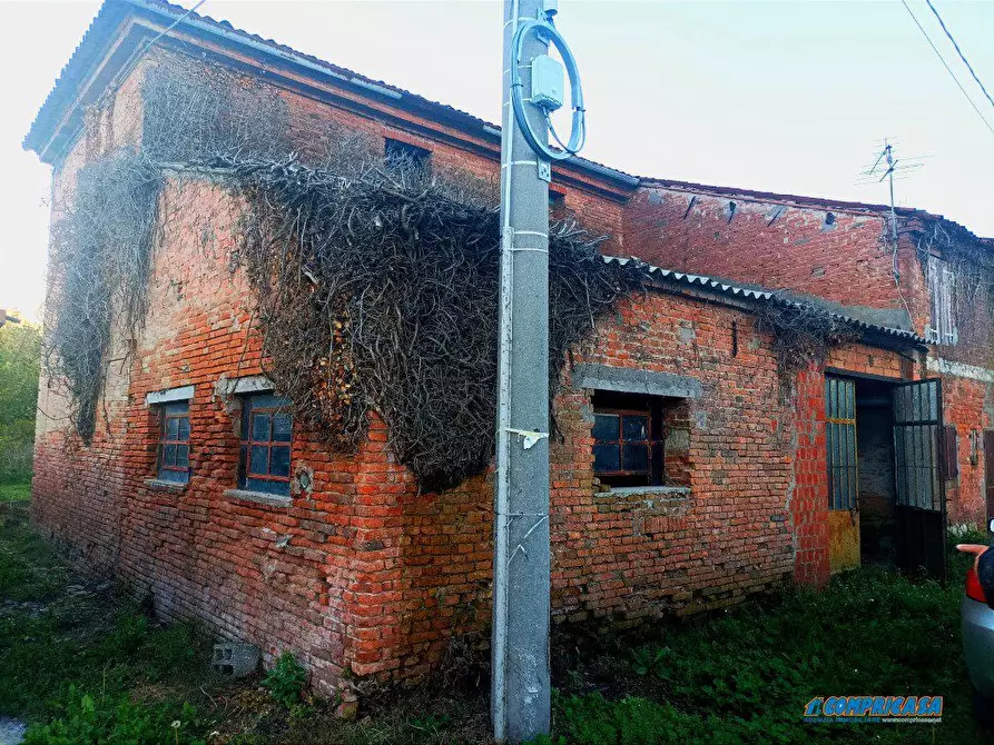 Immagine 2 di Rustico / casale in vendita  a Casale Di Scodosia