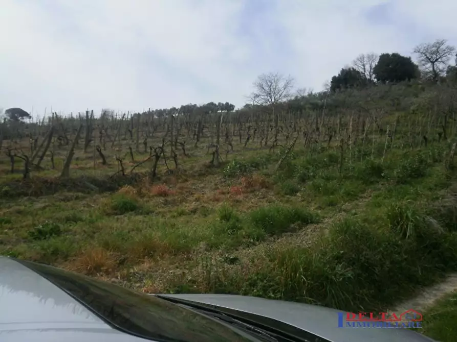 Immagine 1 di Terreno edificabile in vendita  a Rosignano Marittimo