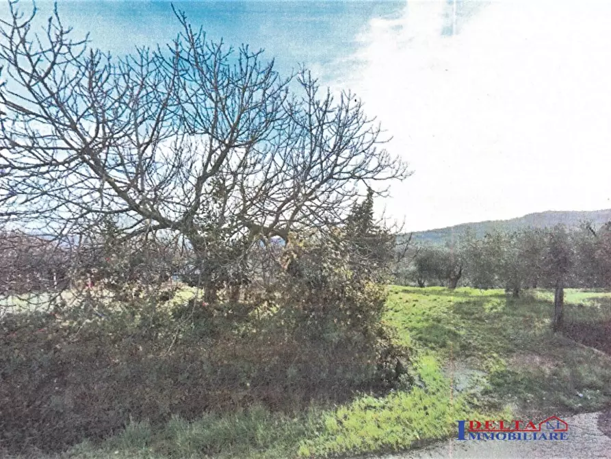 Immagine 1 di Terreno in vendita  a Rosignano Marittimo