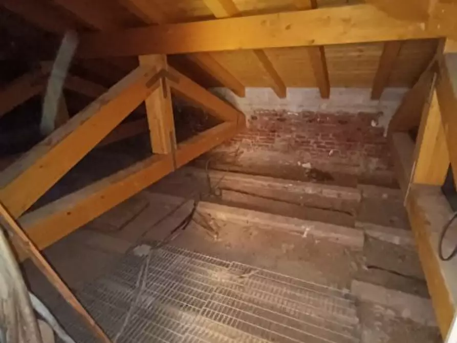 Immagine 7 di Appartamento in vendita  a Rosignano Marittimo