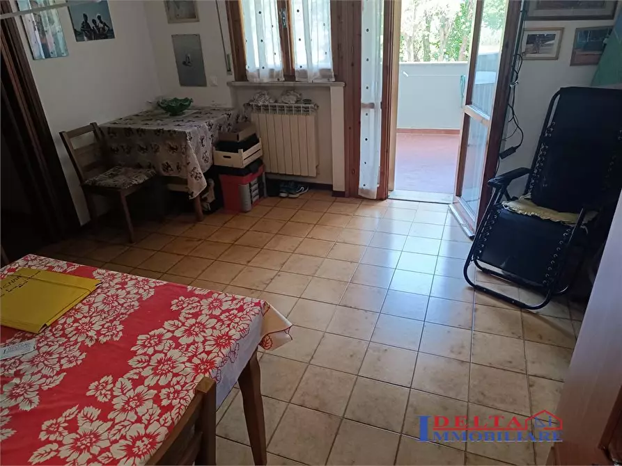 Immagine 4 di Appartamento in vendita  a Rosignano Marittimo